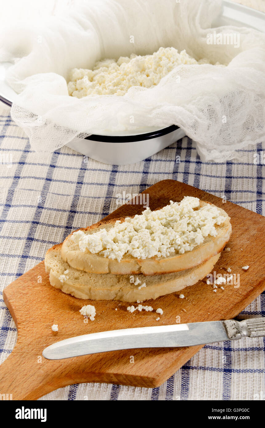 Cottage fresco formaggio su pane tostato Foto Stock