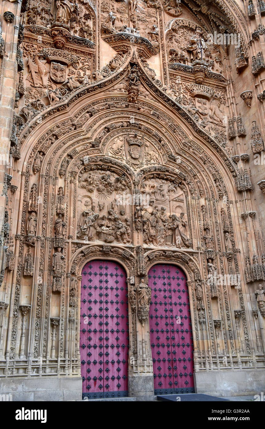 Porta doppia dettagliatamente la nuova cattedrale di Salamanca in Spagna nord-occidentale. Foto Stock