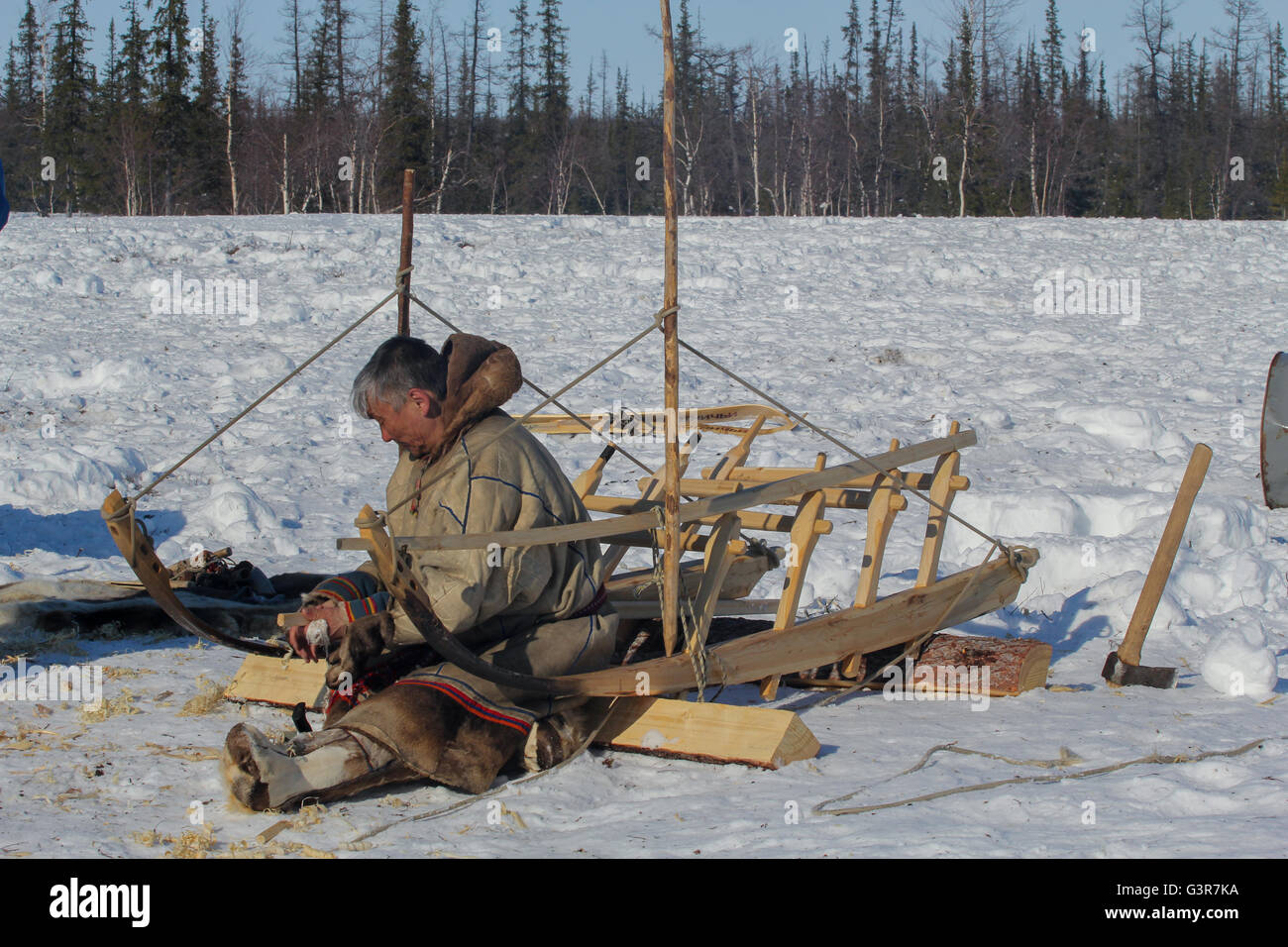 Il Nenets allevatore di renne non slitta. Penisola di Yamal. Foto Stock