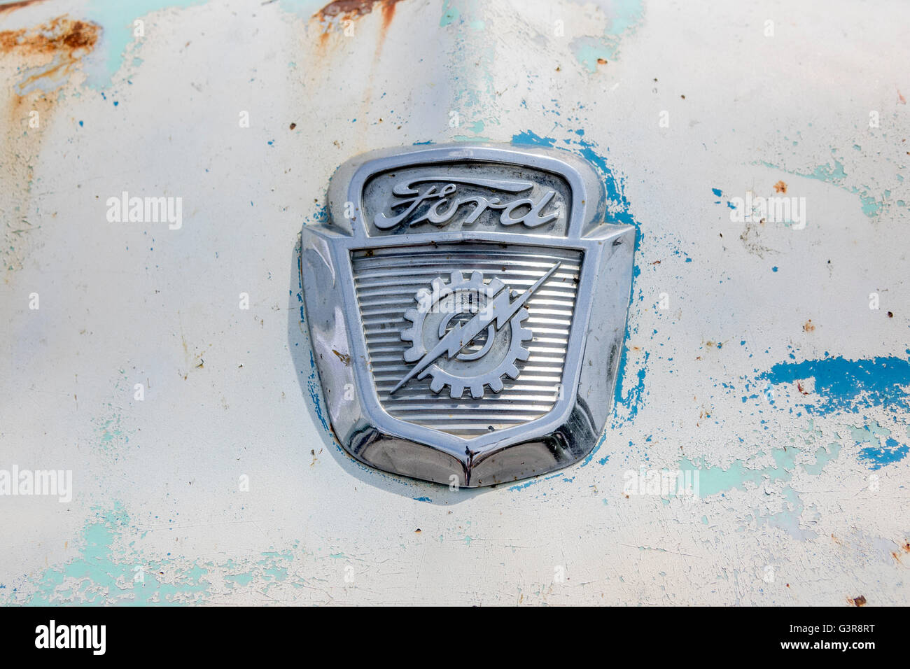 Un diciannove anni Cinquanta Ford F100 Pick Up Truck Emblema Emblema sul cofano del veicolo Foto Stock