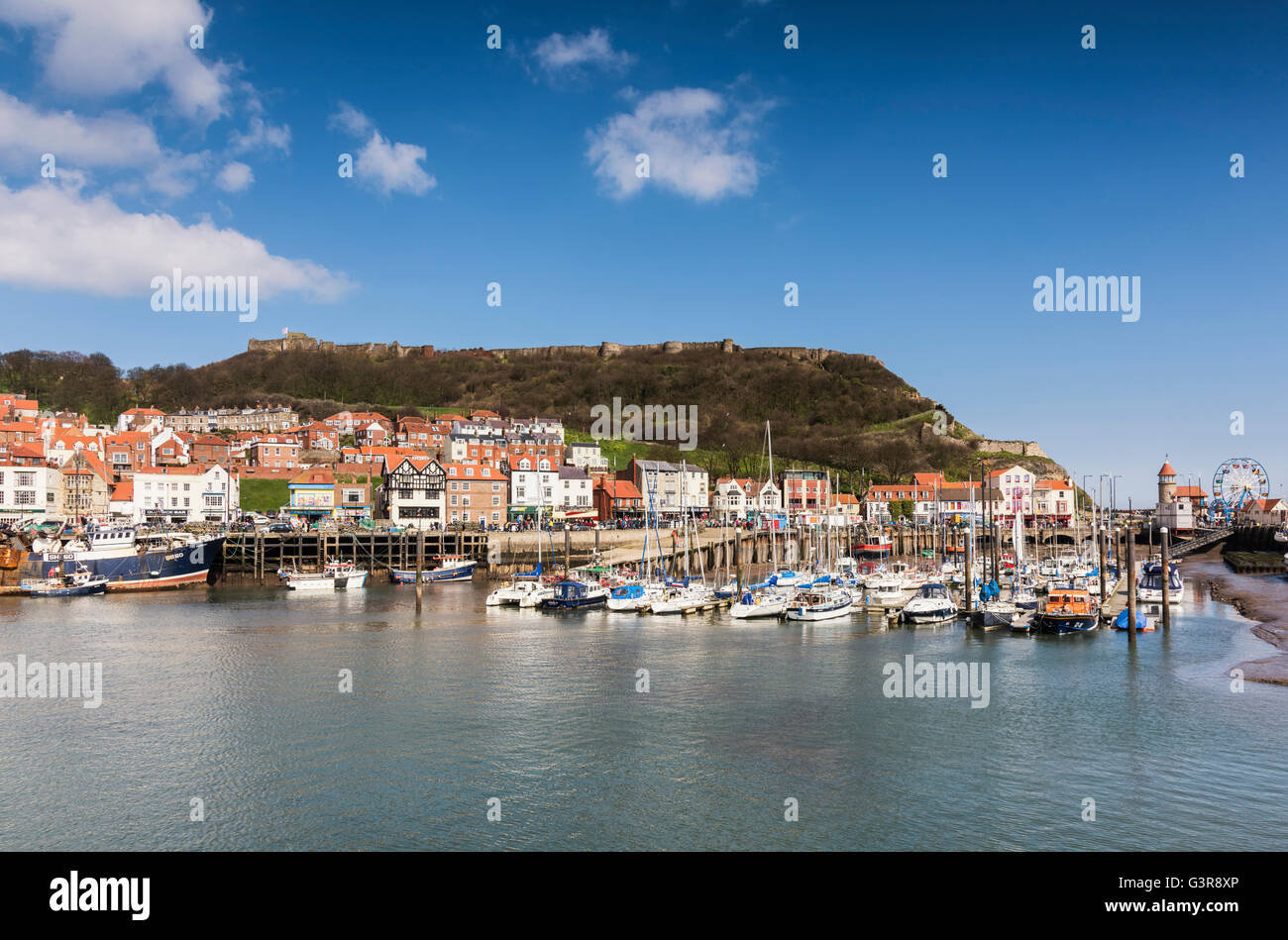 Yacht in marina in Scarborough Harbour Foto Stock