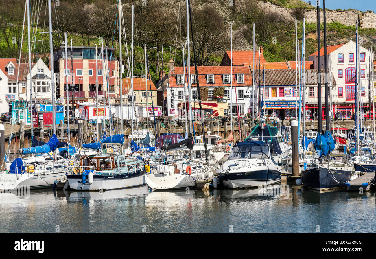 Yacht in marina in Scarborough Harbour Foto Stock