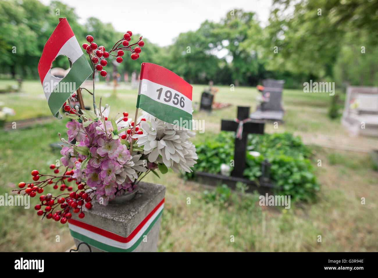 Il cimitero di Kerepesi Budapest, dettaglio della tomba di un partecipante nel 1956 Ungherese insurrezione Anti-Soviet, Budapest, Ungheria. Foto Stock