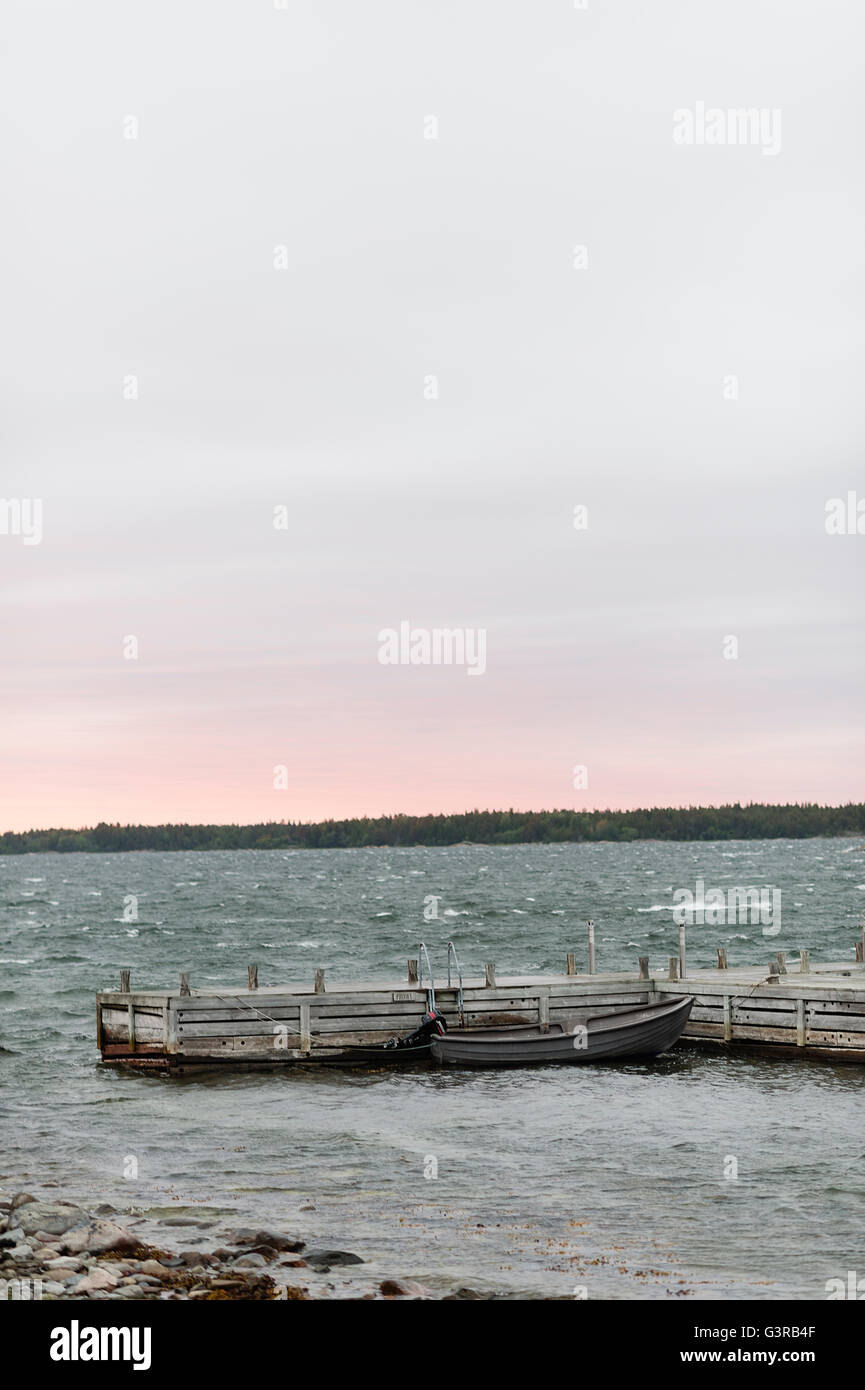 La Svezia, arcipelago di Stoccolma, Uppland, Fejan, vista lago all'alba Foto Stock