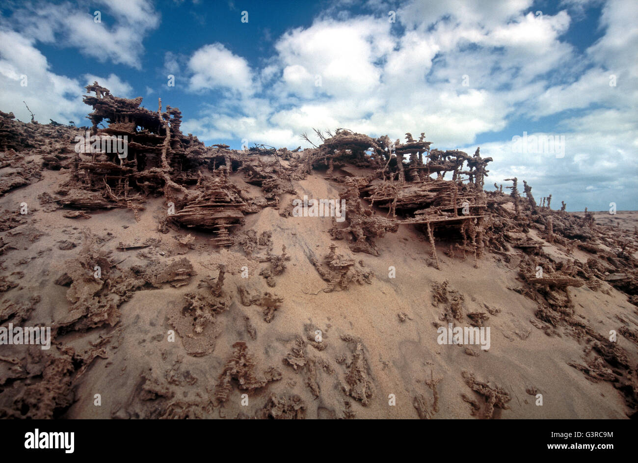 Scultorea formazione di sabbia a Jericoacoara,Brasile Foto Stock