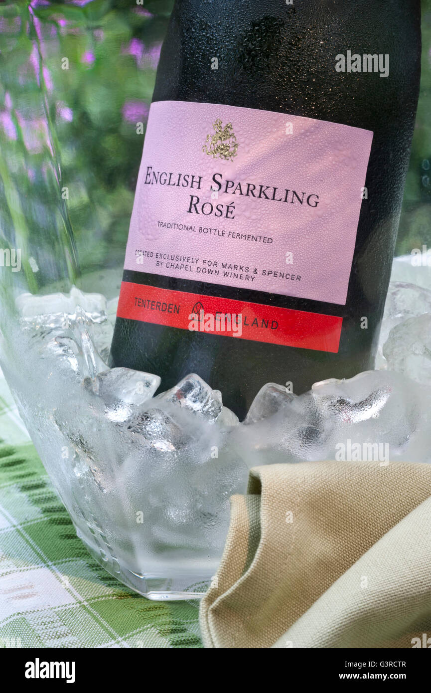 Inglese frizzante vino rosato bottiglia in Iced Wine chiller alfresco sul tavolo da picnic con giardino floreale dietro Foto Stock