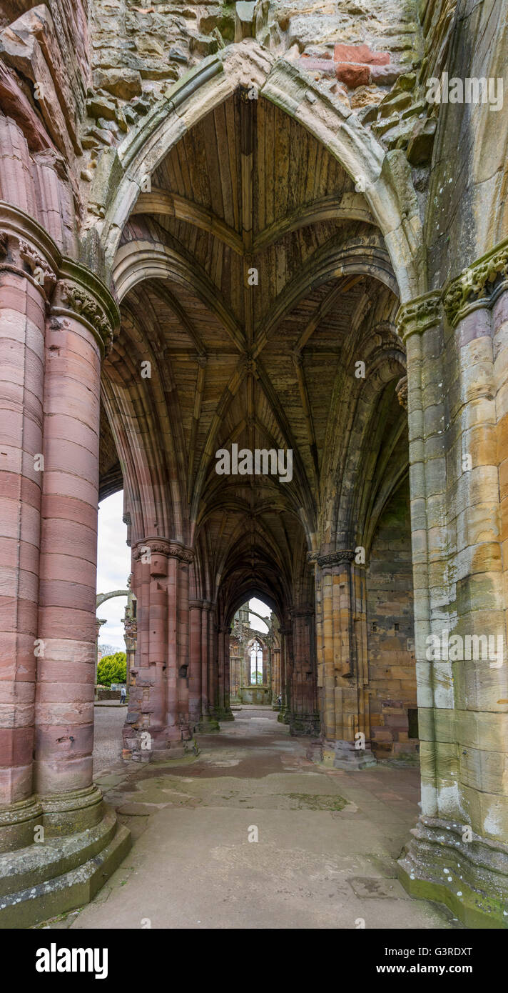 Rovine di Melrose Abbey (St Mary's Abbey), un monastero cistercense fondata nel 1136 in Melrose, Scottish Borders, Scotland, Regno Unito Foto Stock