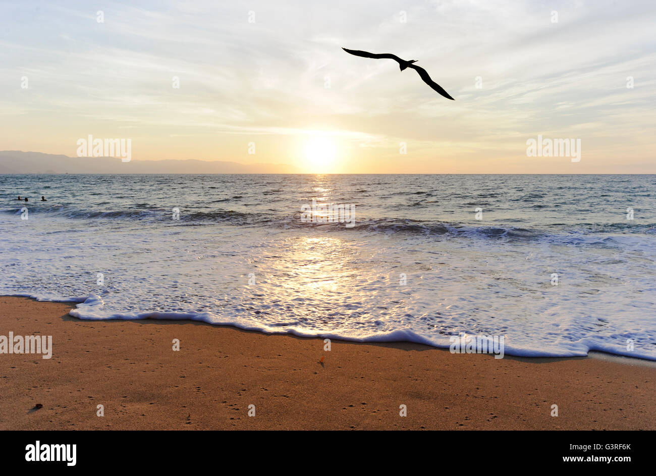 Ocean Bird Silhouette è un singolo stagliano uccello volando verso il sole al tramonto. Foto Stock