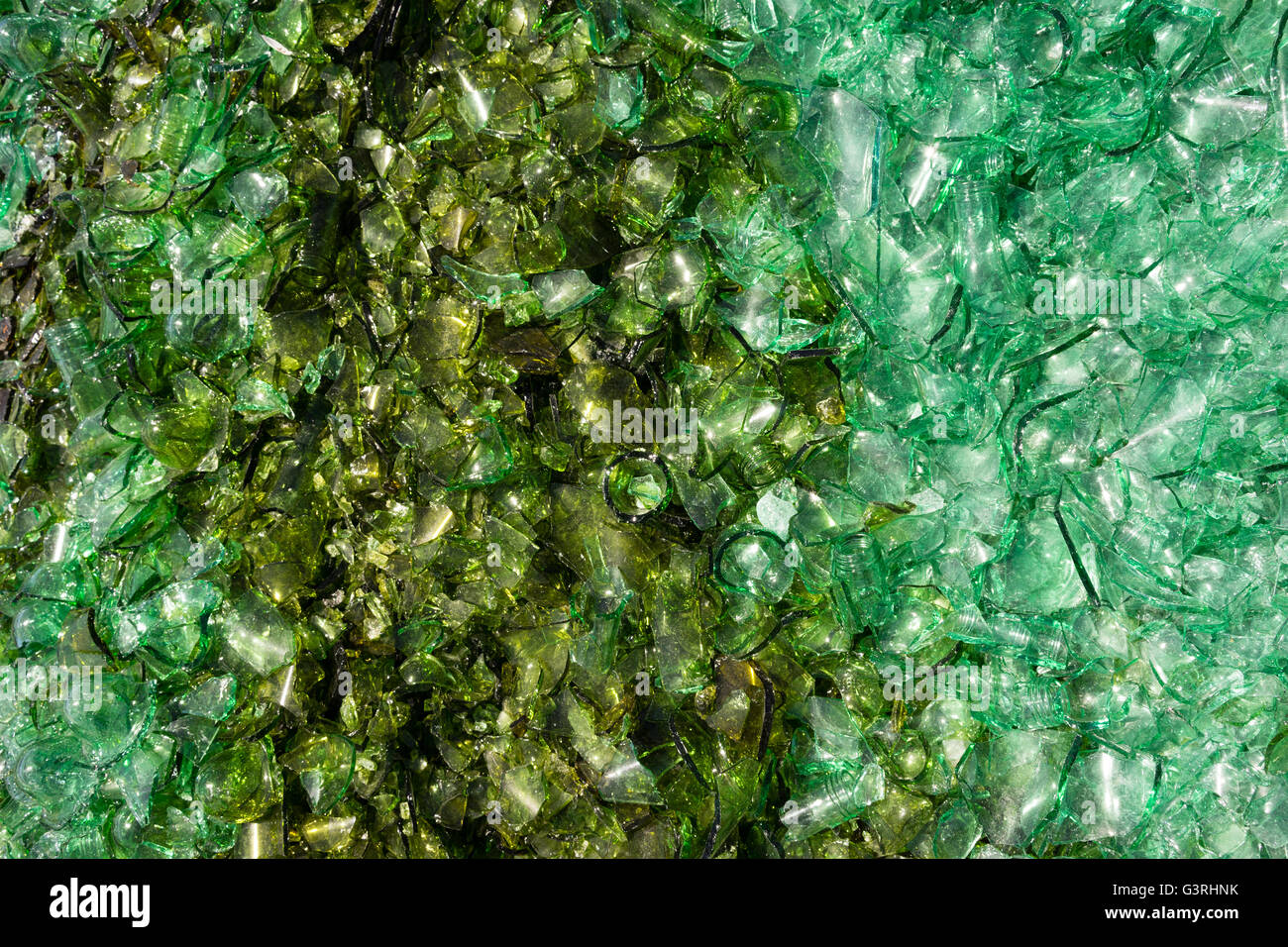 Schiacciato il vetro rotto bottiglia riciclare Sharp cocci verde Foto Stock