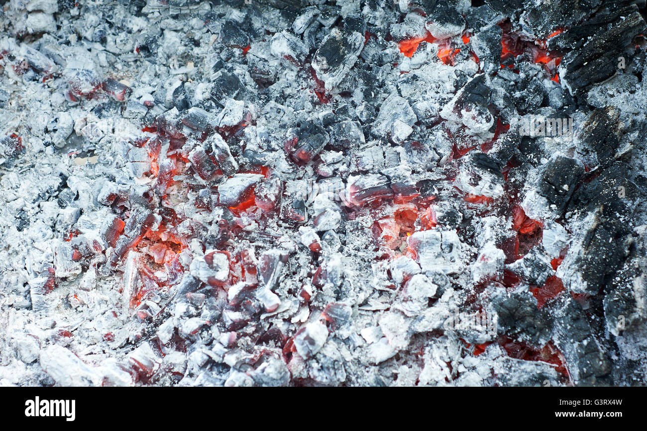 Sfondo di rosso di carbone a covare sotto la cenere bianca Foto Stock
