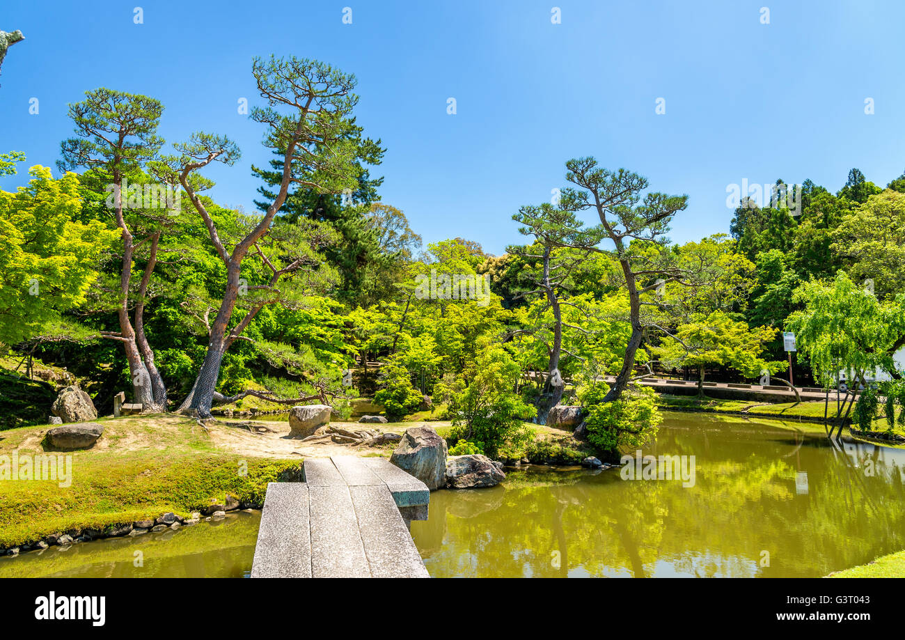Motivi di Nara Park nella regione di Kansai - Giappone Foto Stock