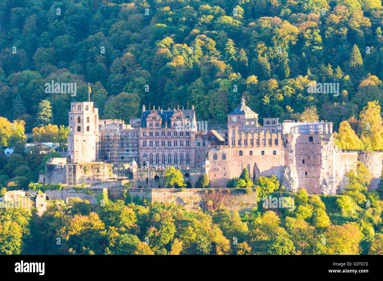 Castello, Germania, Baden-Württemberg, Kurpfalz, Heidelberg Foto Stock