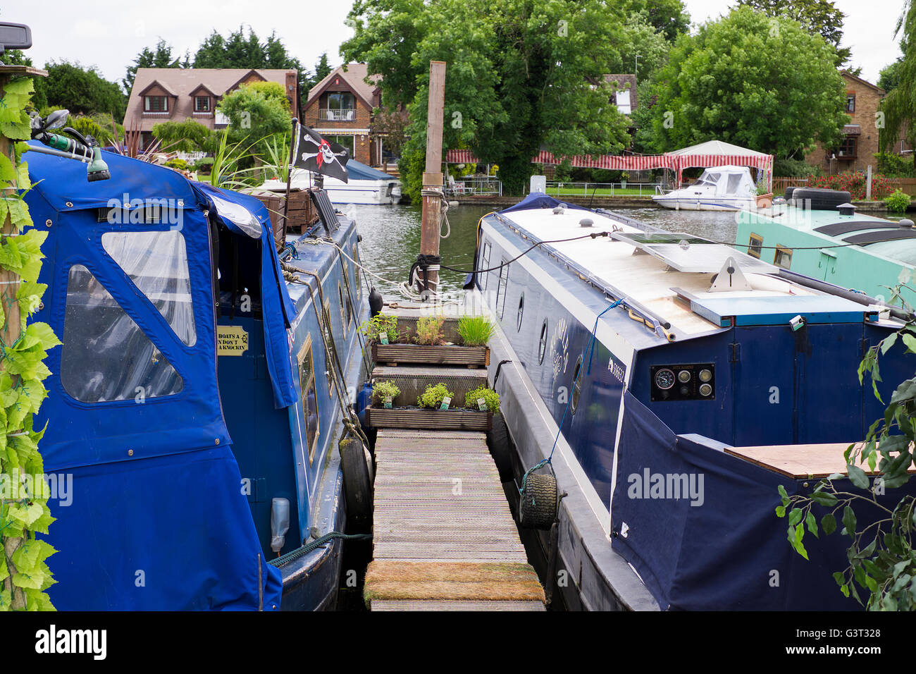 Narrowboats in Runnymede in Surrey UK Foto Stock