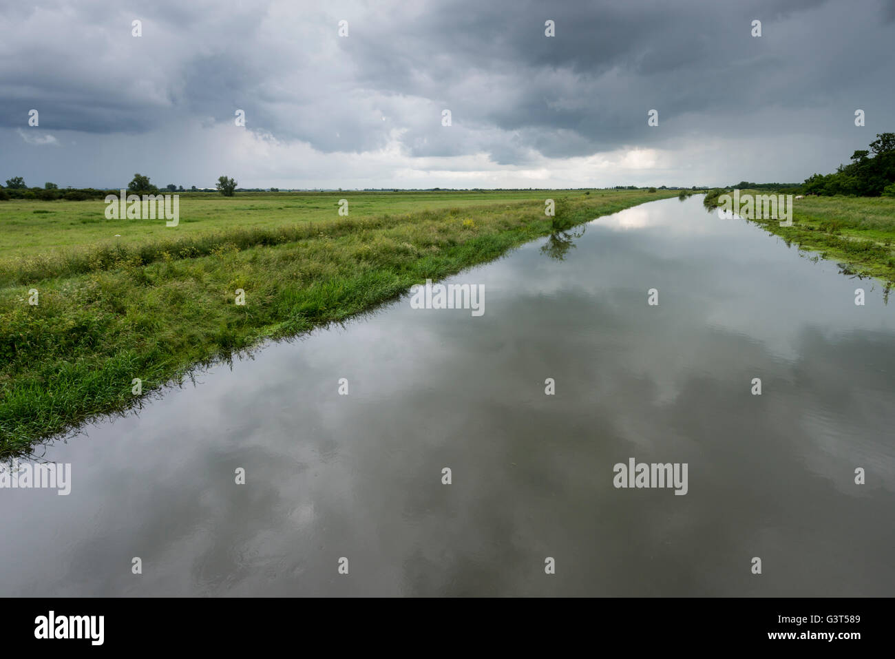 La nuova Bedford River, Sutton Gault, Cambridgeshire Regno Unito 14 Giugno 2016. Tuoni e pioggia tempeste attraversano il piatto paesaggio fenland e riempire i grandi cieli con nuvole nere. La previsione è per di più sole e docce come un sistema di bassa pressione rimane al di sopra del Regno Unito fino alla fine settimana. Credito Eales Julian/Alamy Live News Foto Stock