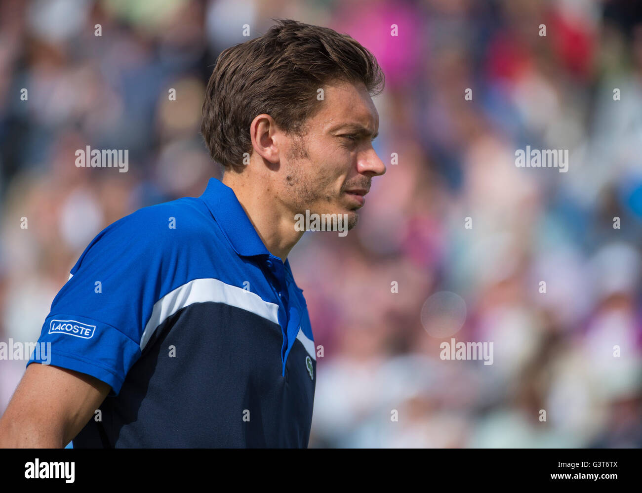 La Queen's Club, Londra UK. 14 giugno 2016. Il giorno 2 della corte di erba campionati a west London club fino al 19 giugno, con Andy Murray (GBR) vs Nicolas MAHUT (FRA), Murray tenendo la partita in due set. Credito: sportsimages/Alamy Live News. Foto Stock
