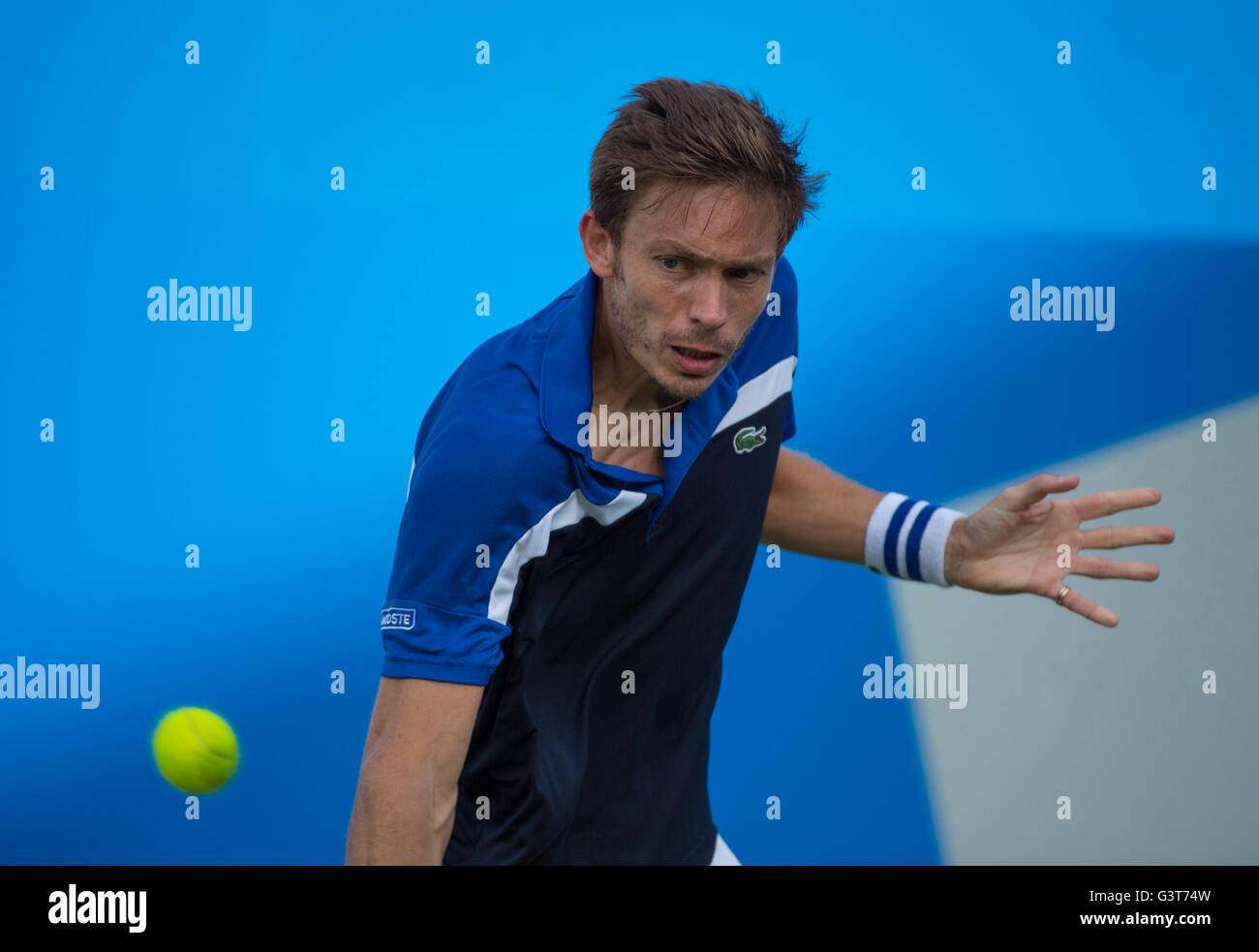 La Queen's Club, Londra UK. 14 giugno 2016. Il giorno 2 della corte di erba campionati a west London club fino al 19 giugno, con Andy Murray (GBR) vs Nicolas MAHUT (FRA), Murray tenendo la partita in due set. Credito: sportsimages/Alamy Live News. Foto Stock