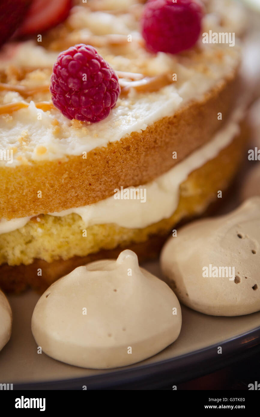 Close up di torta al lampone Foto Stock