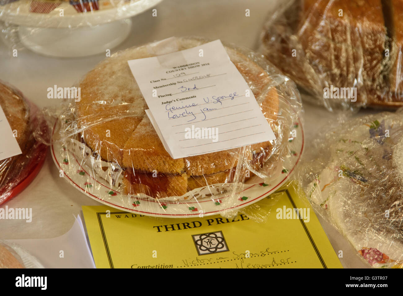 Terzo premio vincendo il Pan di Spagna a produrre Show Foto Stock