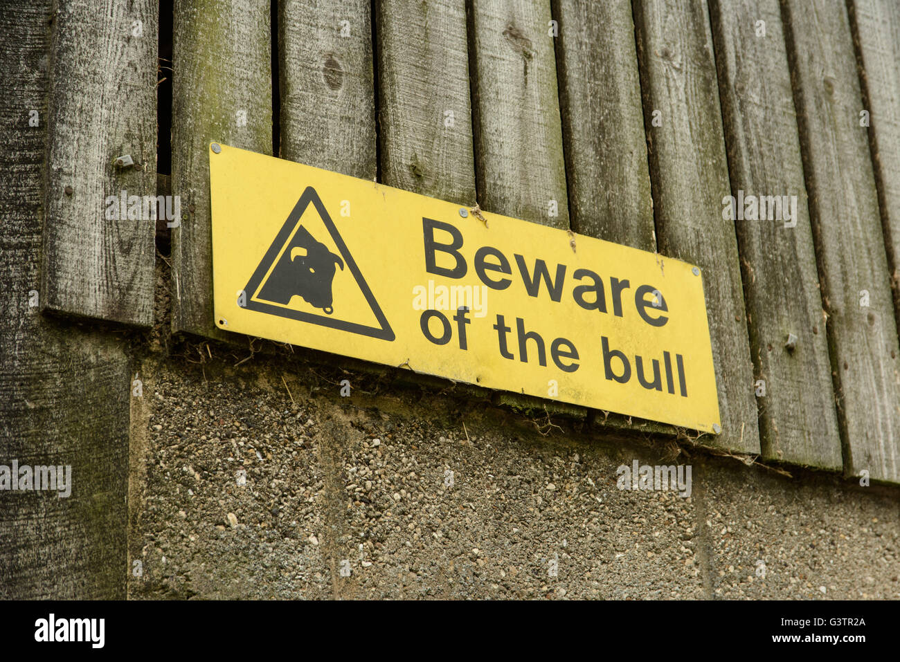 Fate attenzione al segno di Bull in fattoria Foto Stock