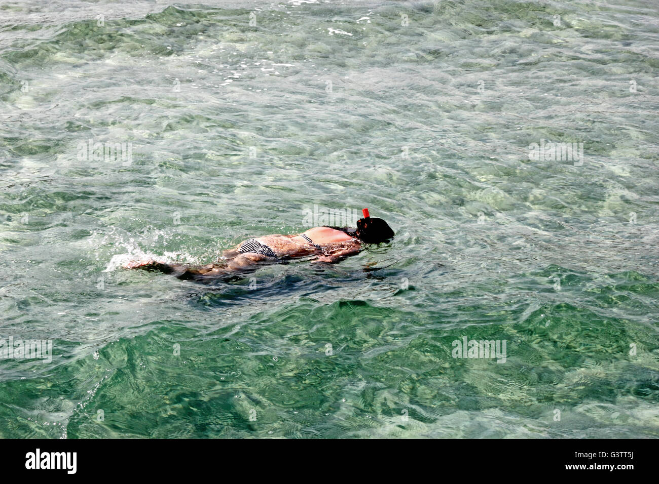 Femmina, vestito in bikini, snorkeling nel mare limpido. Foto Stock