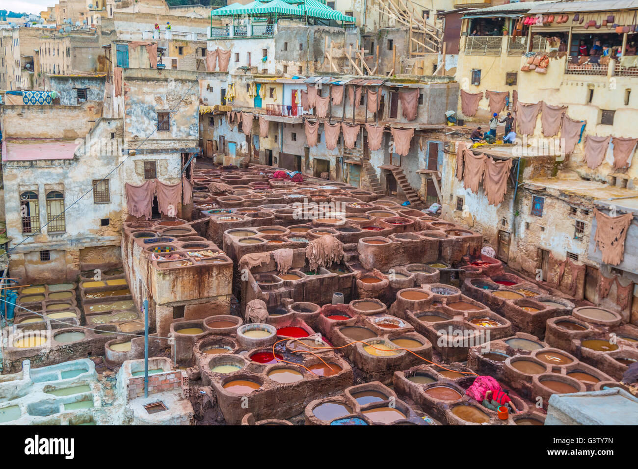 La conceria di Fez in Marocco Foto Stock