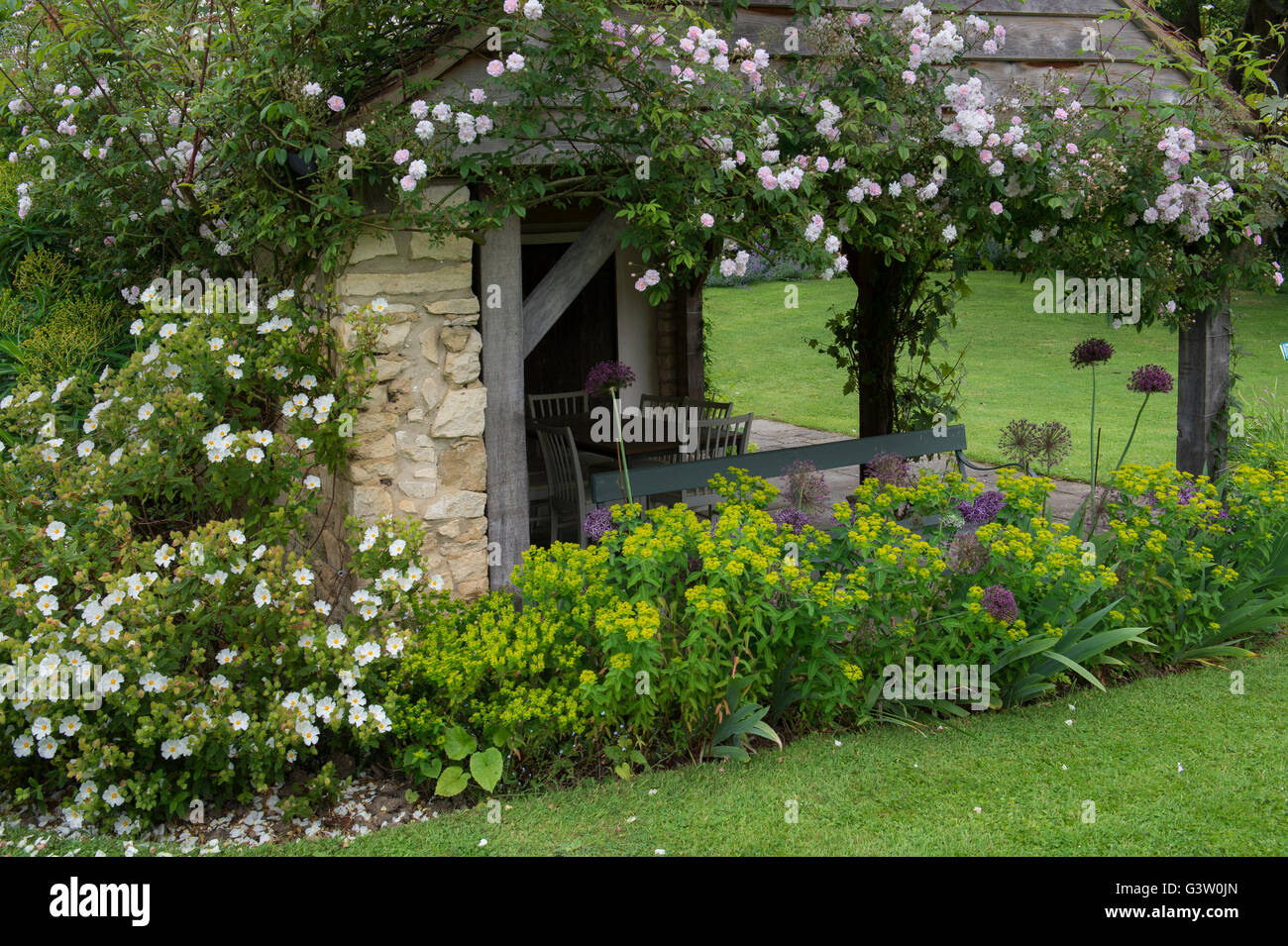 Garden Cottage con rose. Ashton sotto la collina, Wychavon district, Worcestershire, Inghilterra Foto Stock