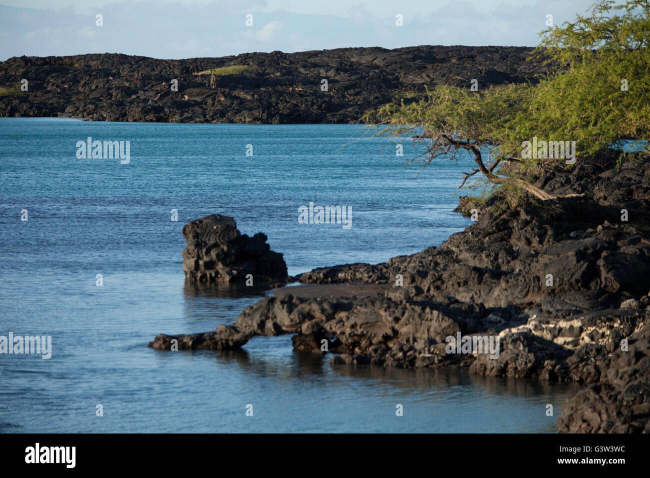 Viste della baia di Kiholo, Isola delle Hawaii, Hawaii, STATI UNITI D'AMERICA Foto Stock