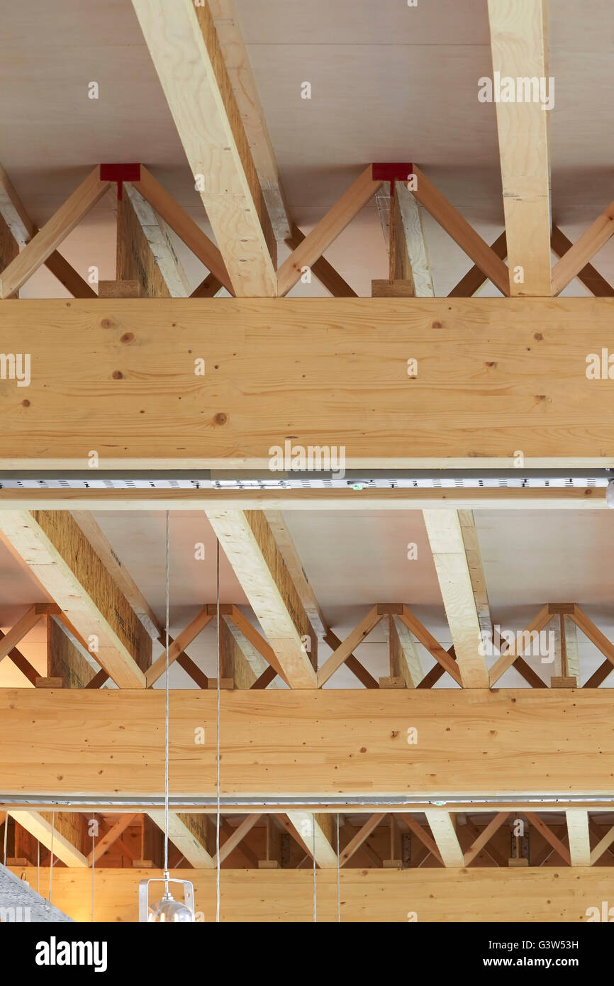 Legno esposto a soffitto. La camera Verde, Londra, Regno Unito. Architetto: Benjamin Marchi, 2015. Foto Stock
