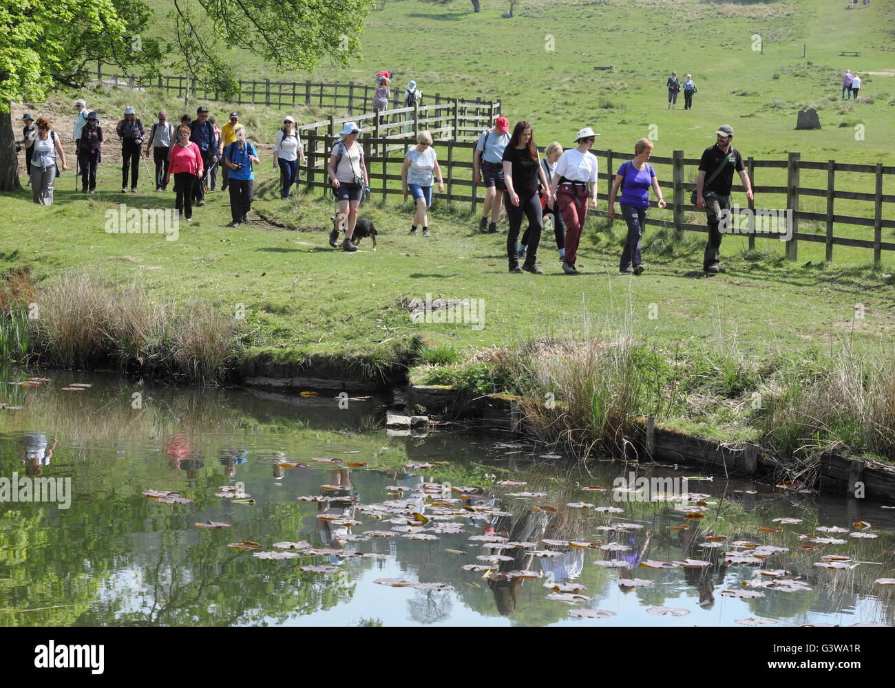 Persone su un National Trust ranger passeggiata guidata sul Hardwick station wagon, Derbyshire come parte di Chesterfield Walking Festival Foto Stock