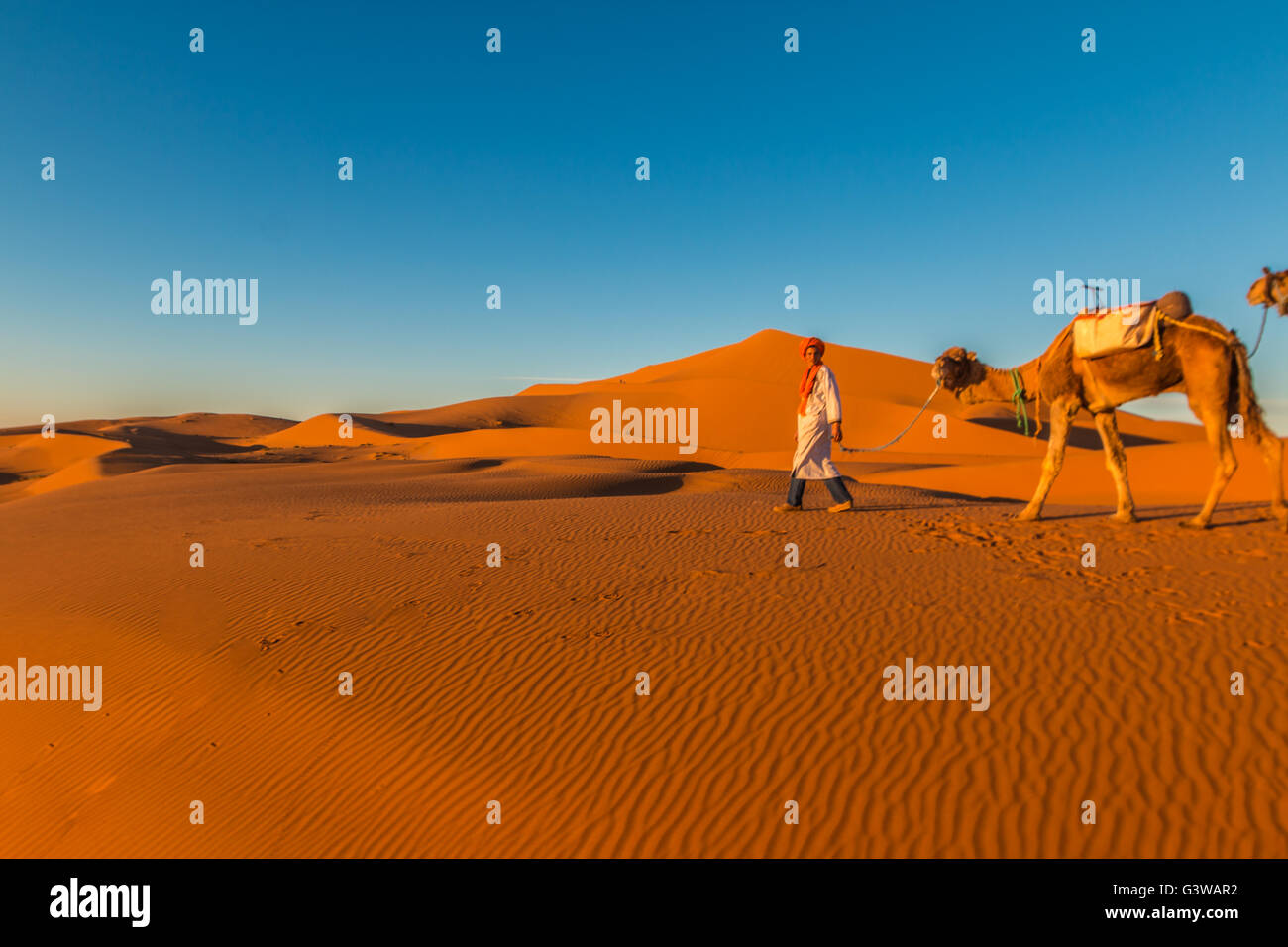 Deserto del Sahara cammelli Foto Stock