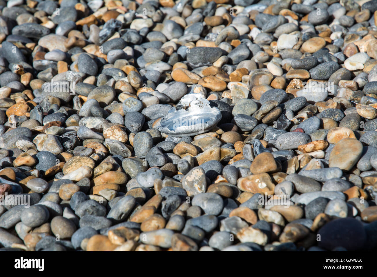 Il fondo di un possibile sulla spiaggia Weybourne, Norfolk. Foto Stock