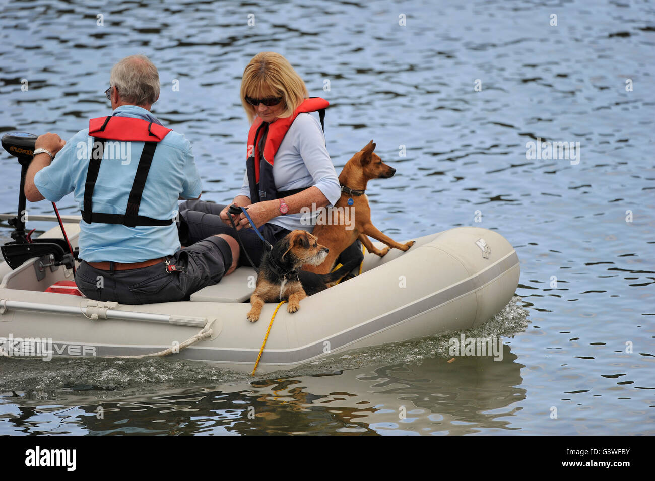 Coppia rosso da indossare giubbotti di salvataggio nella nervatura con cani Foto Stock