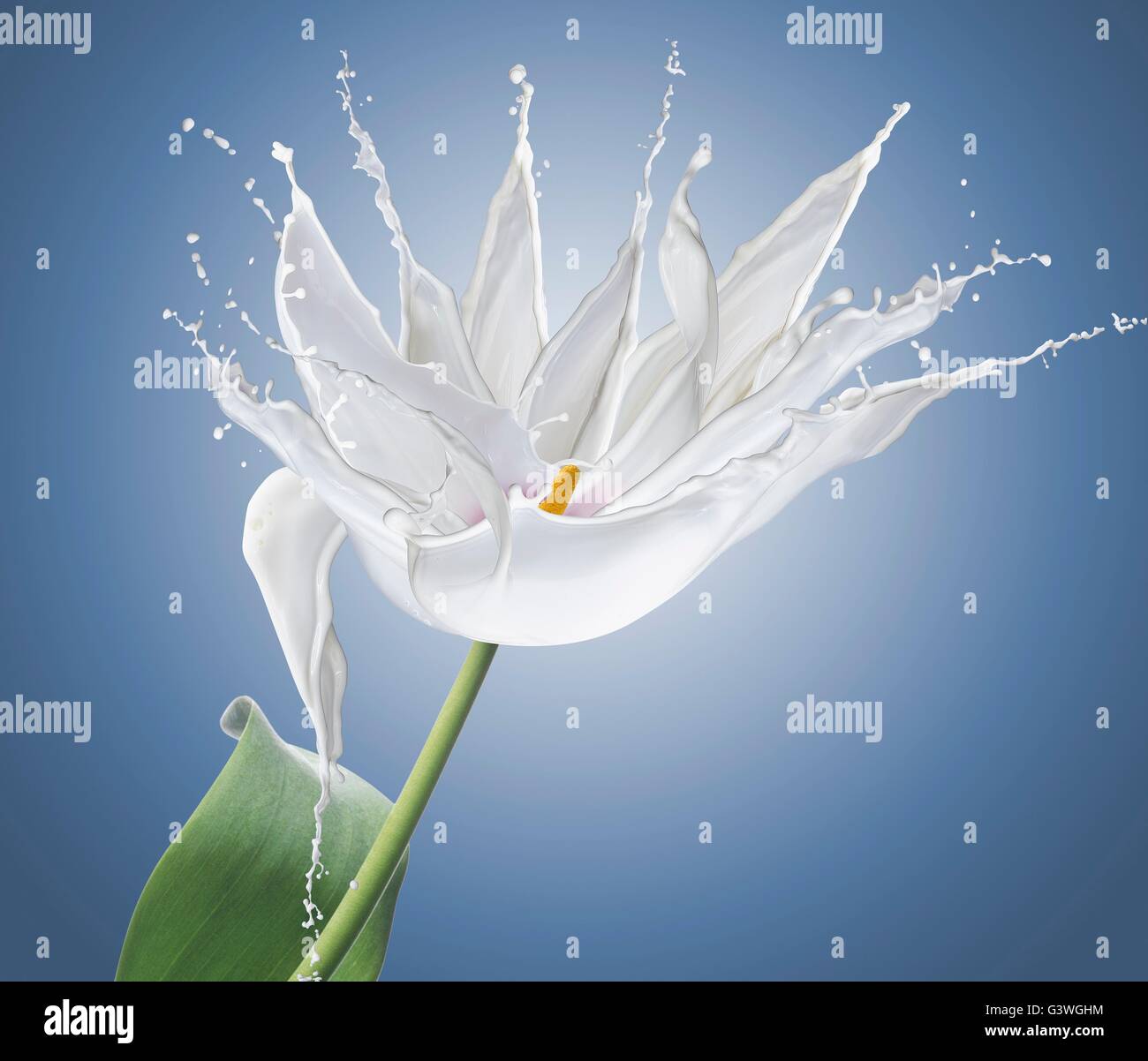 Fiore in spruzzi bianchi isolati su blu. Foto Stock