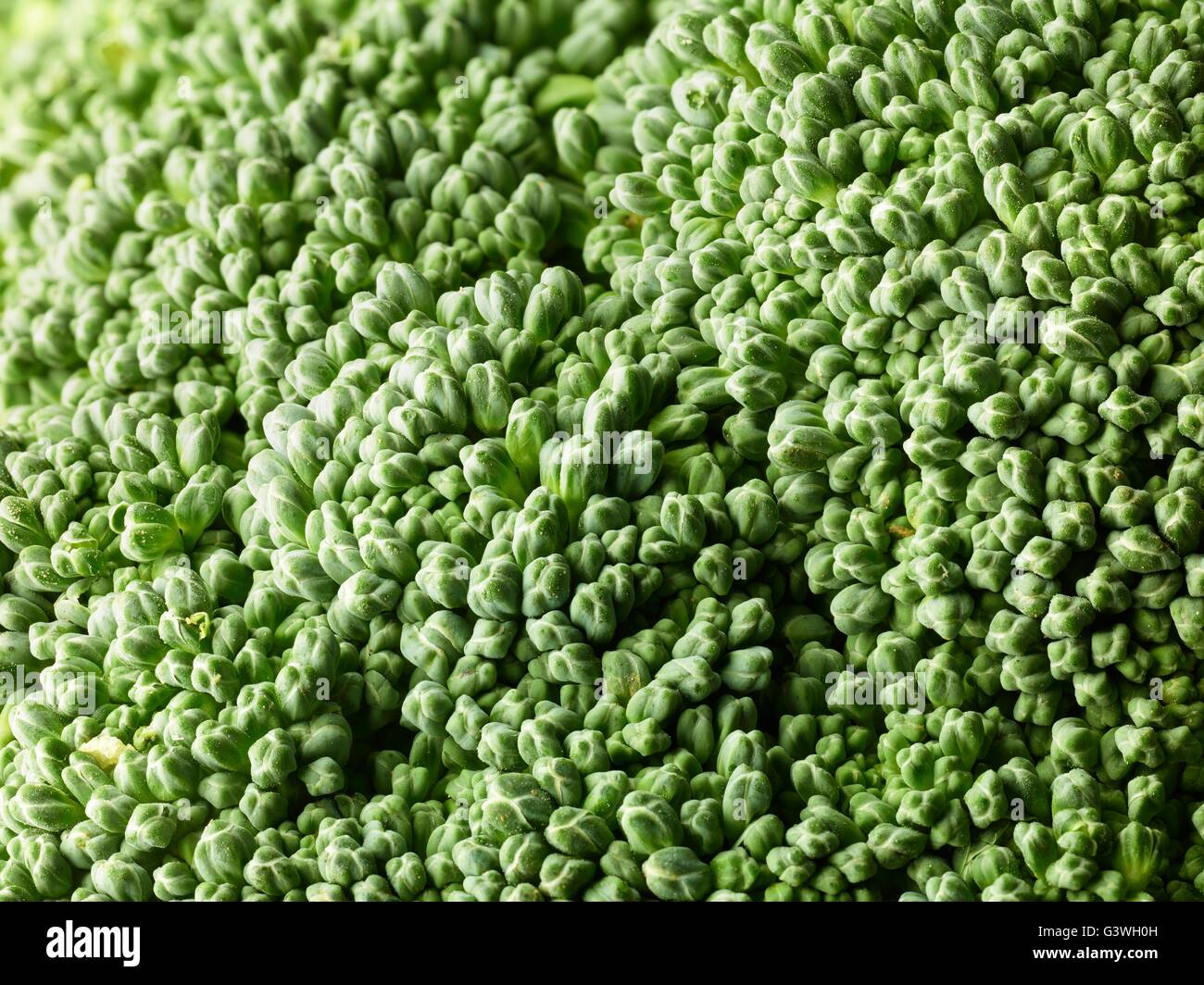 Broccoli Background molto alta risoluzione salutare mangiare Foto Stock