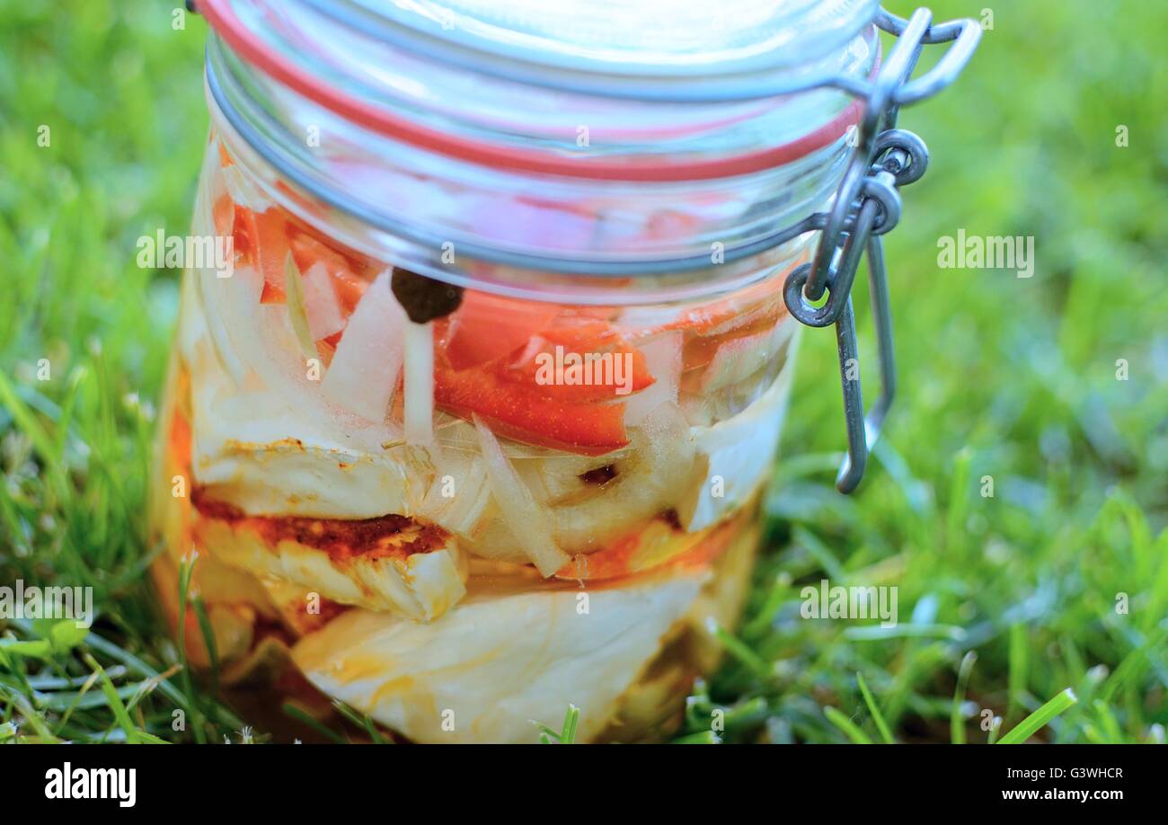 Decapare il formaggio in olio in vaso con erbe aromatiche. Foto Stock