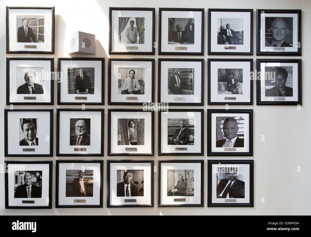 I ritratti del passato e del presente di giudici nominati per servire in Corte costituzionale in Sud Africa (2016) Foto Stock