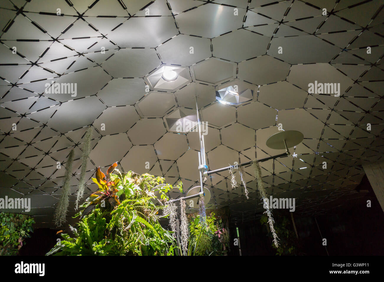 Il soffitto esagonale e tubazioni di luce nel'Lowline' presentano presso il vecchio Essex Street Market nel Lower East Side di New York di Domenica, 12 giugno 2016. I piani di chiamata a trasformare un carrello della metropolitana terminal al Williamsburg Bridge terminus in uno spazio verde utilizzando la luce solare filtrata attraverso i lucernari per creare un parcheggio sotterraneo. In mostra gli esagoni riflettente e tubi di ottica di dirigere i raggi del sole per il paesaggio sottostante. (© Richard B. Levine) Foto Stock