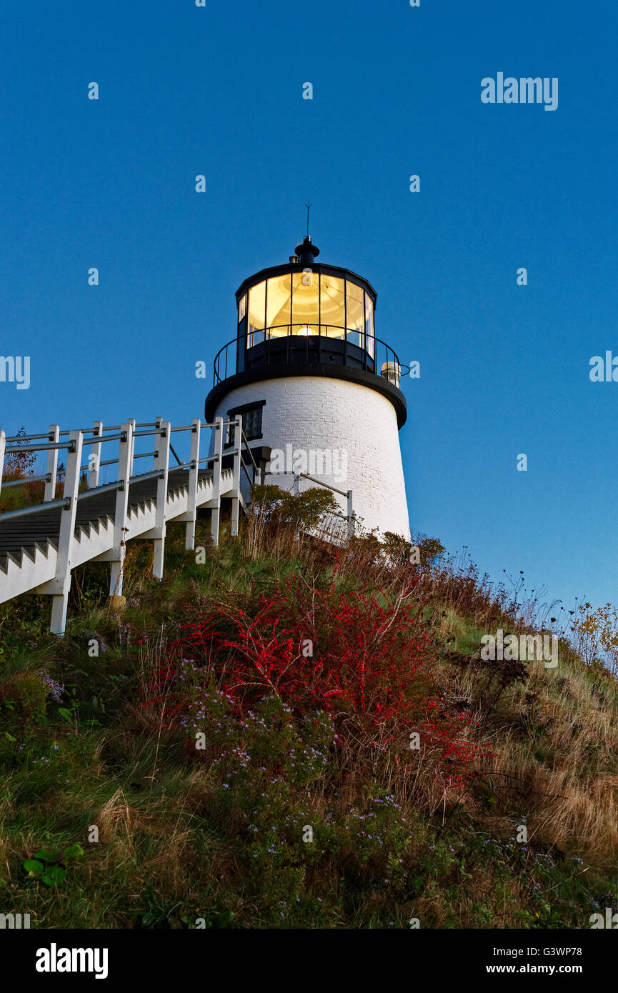 Gufi luce di testa, Maine, Stati Uniti d'America Foto Stock
