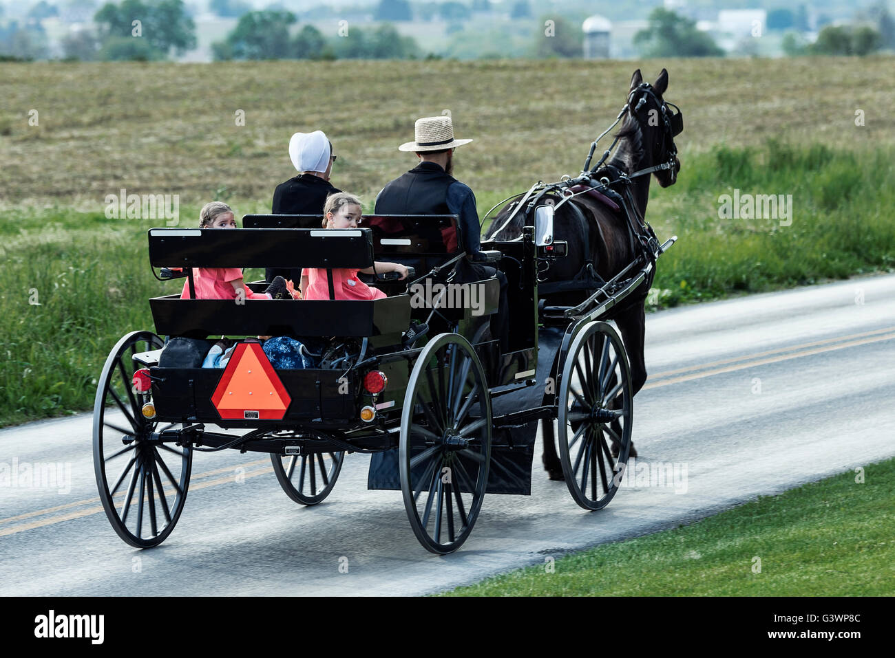 Famiglia Amish in cavallo e buggy, Ronks, Lancaster County, Pennsylvania, STATI UNITI D'AMERICA Foto Stock