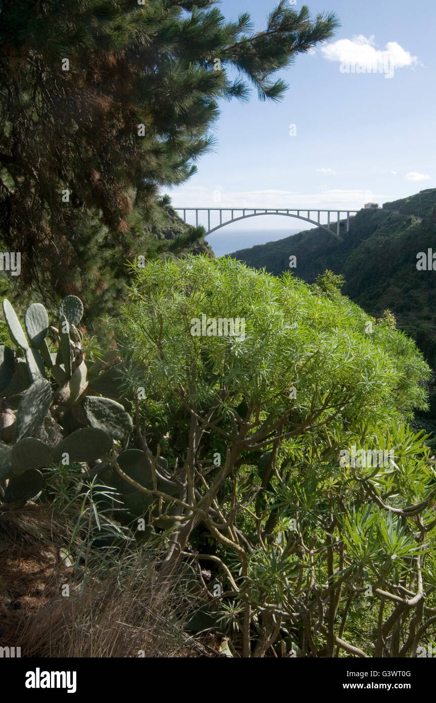 Viadotto di Tilos la palma grande arco concreto ponte stradale archi arcuata span spanning 357 metri attraverso la foresta di Los Tilos per Foto Stock