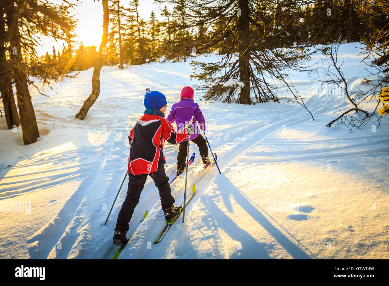 Due bambini, un ragazzo e una ragazza, sci nella foresta durante il tramonto. Il sole tramonta in alto a sinistra nel telaio, creando ombre lunghe. Foto Stock