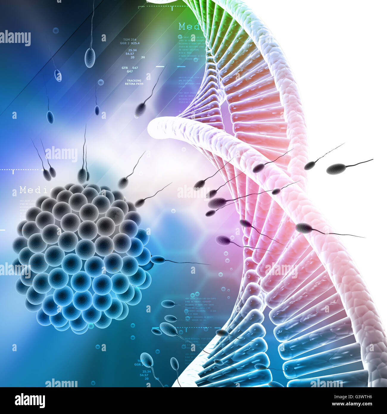 Sperma e uova con il DNA nel colore di sfondo Foto Stock