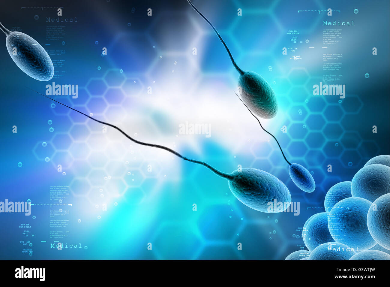 Mooving sperma e uova nel colore di sfondo Foto Stock