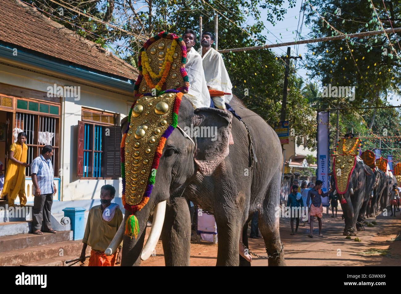 Gli elefanti al festival Varkala Kerala India Foto Stock