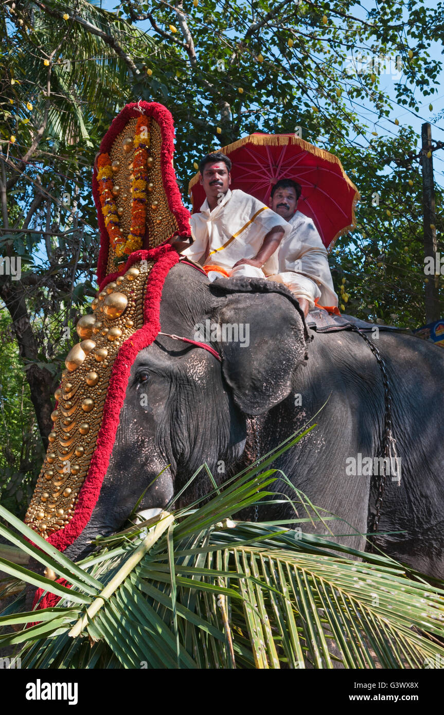 Elefante al festival Varkala Kerala India Foto Stock