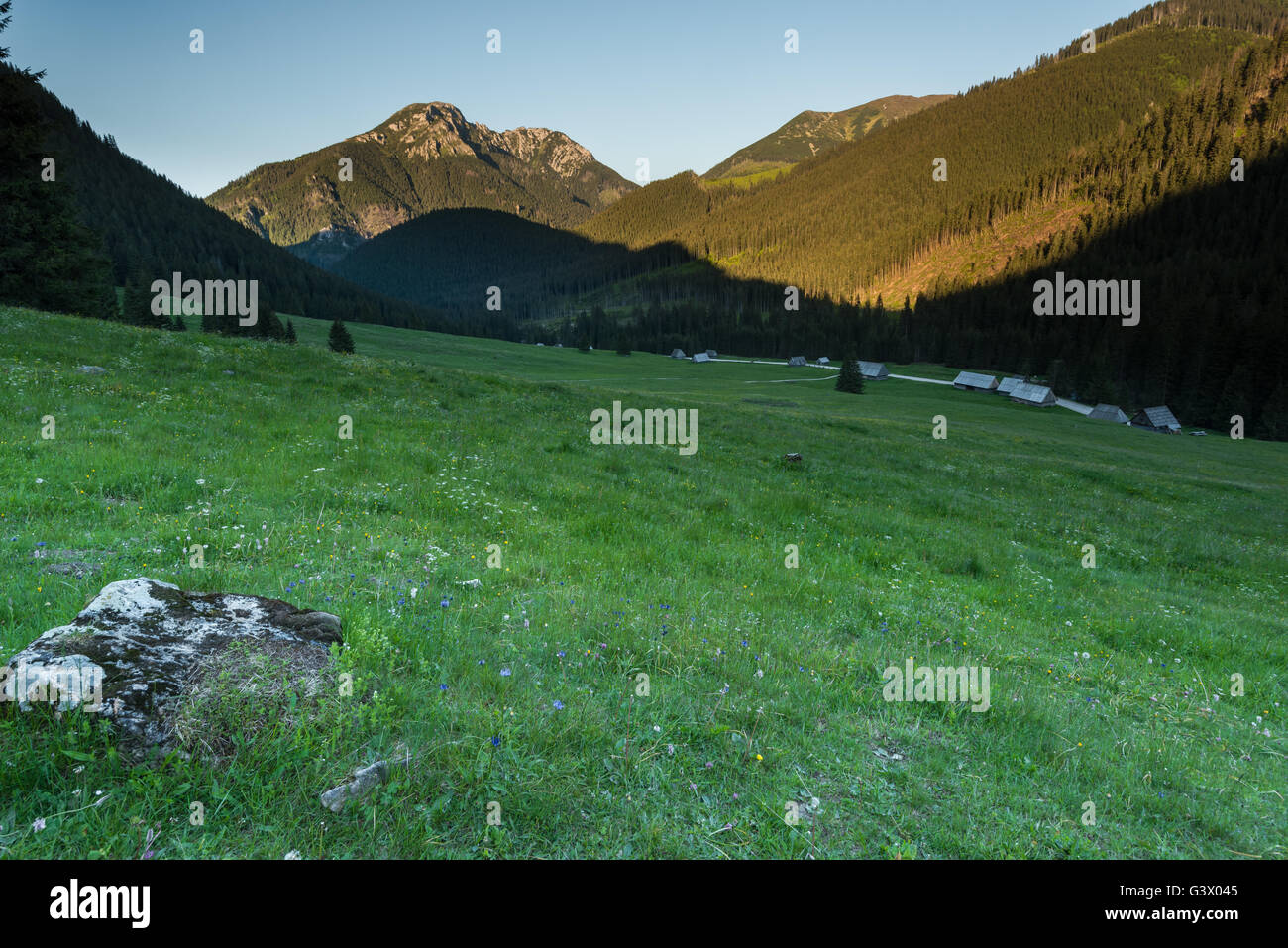 Valle Chocholowska nel Parco nazionale dei Alti Tatra al crepuscolo Foto Stock