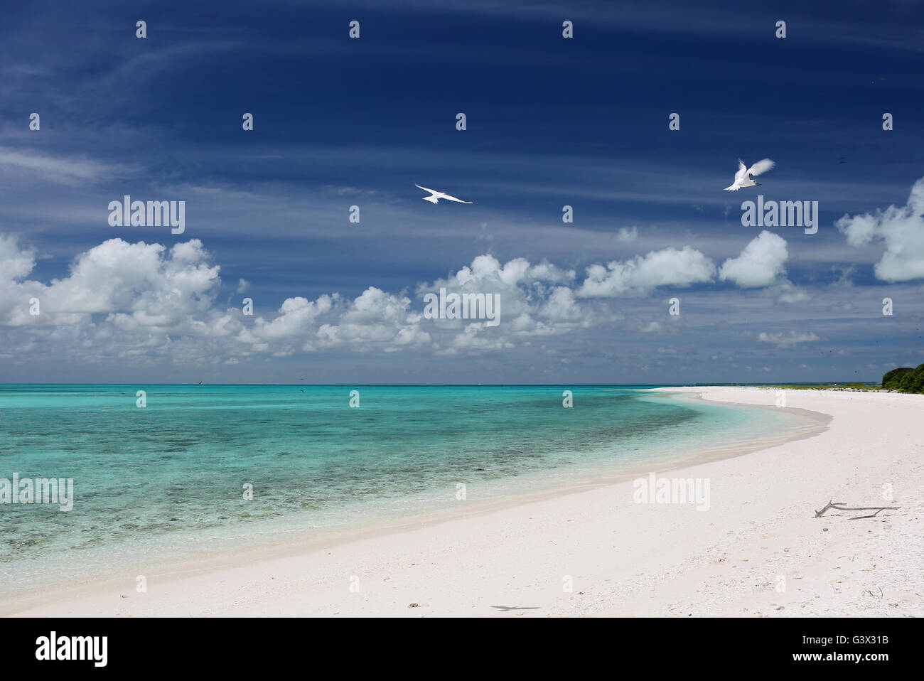 Spiaggia di sabbia bianca sulle isolette Cook, isola Christmas, Kiribati Foto Stock