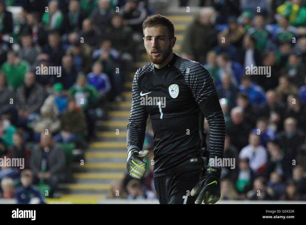 Belfast, Irlanda del Nord - 28 Marzo 2016. Irlanda del Nord 1 La Slovenia 0 (gentile). Jan Oblak (1) la Slovenia. Foto Stock