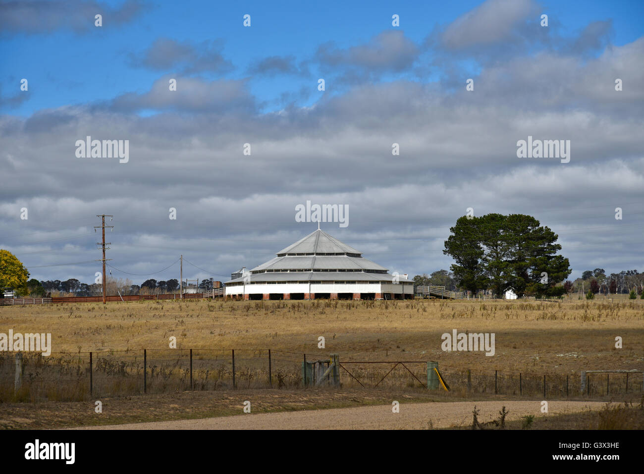 Woolshed Deeargee , uralla, New England, Nuovo Galles del Sud, Australia Foto Stock