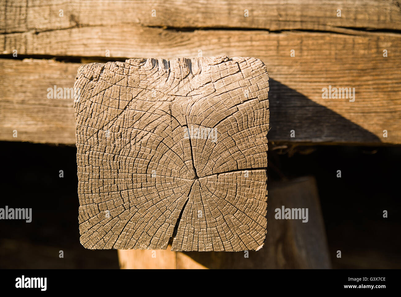 Tagliare i vecchi log. Una vista di estremità. Foto Stock